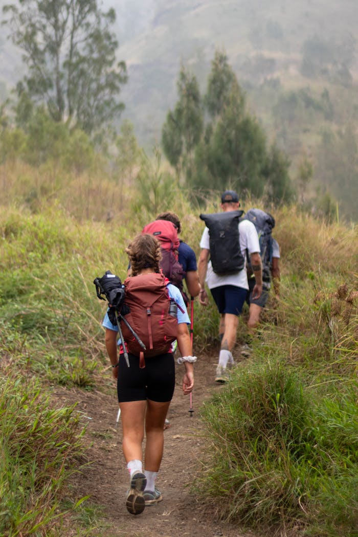 Hikers exploring scenic trails of Mount Rinjani, Lombok. Perfect for adventure enthusiasts.